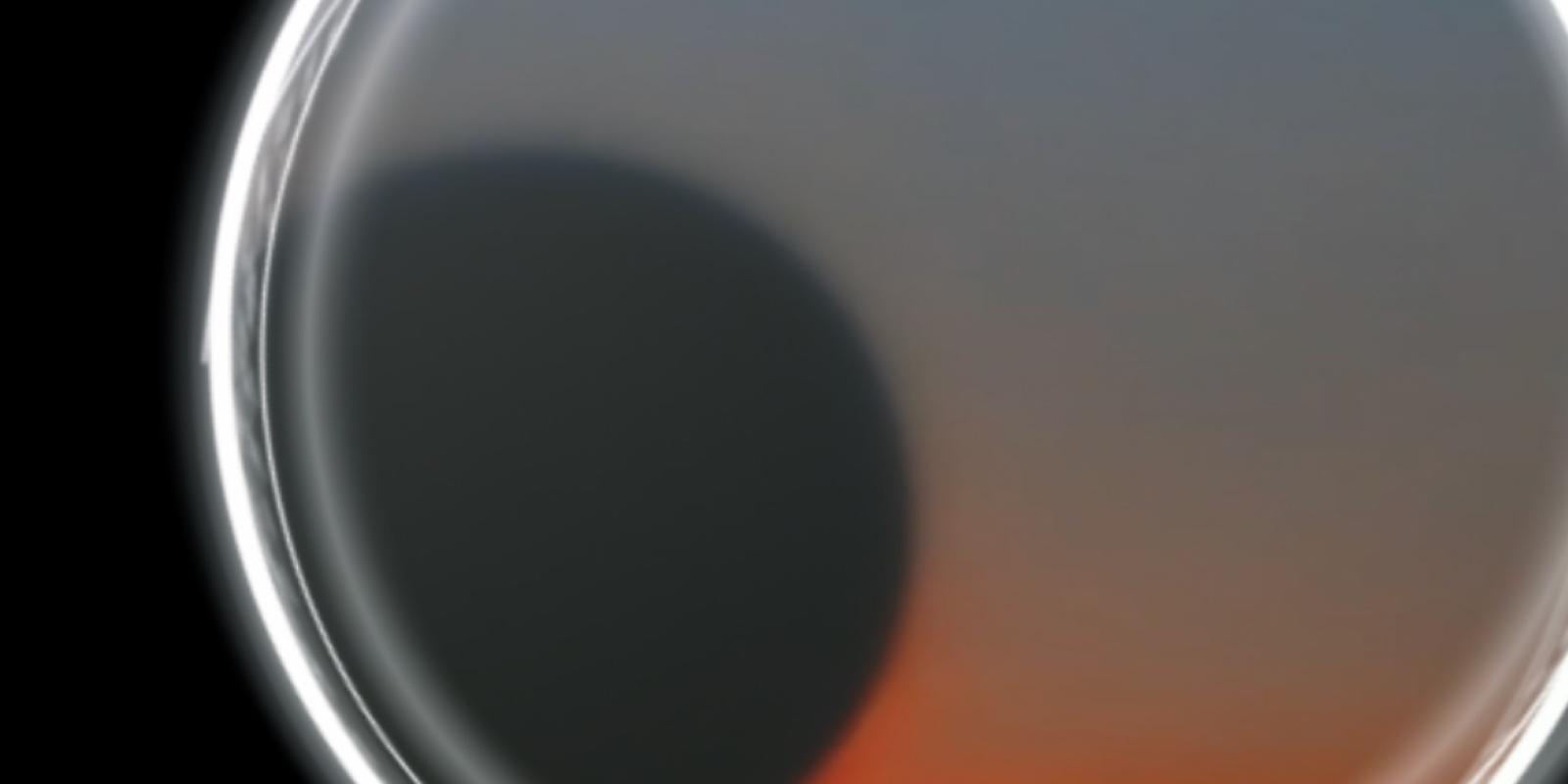 Khepri after Khepri: process