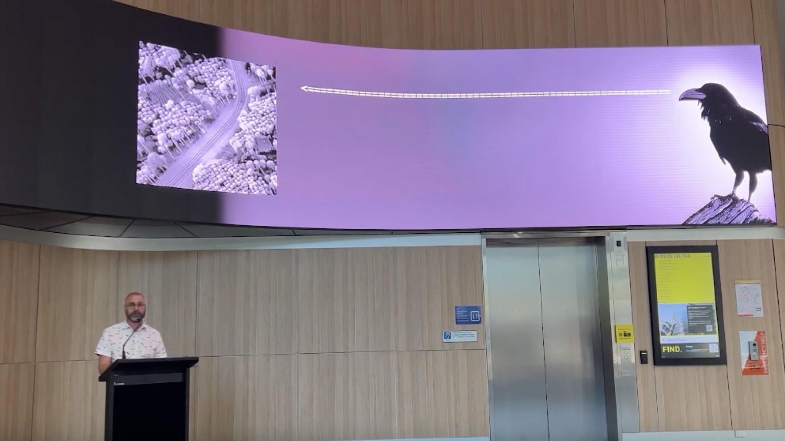 What Raven Saw - an overGround:underStory