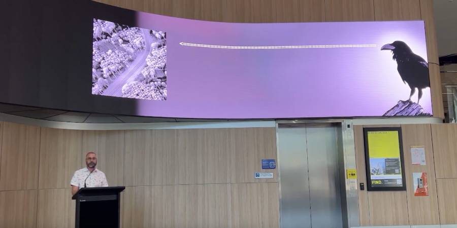 What Raven Saw - an overGround:underStory