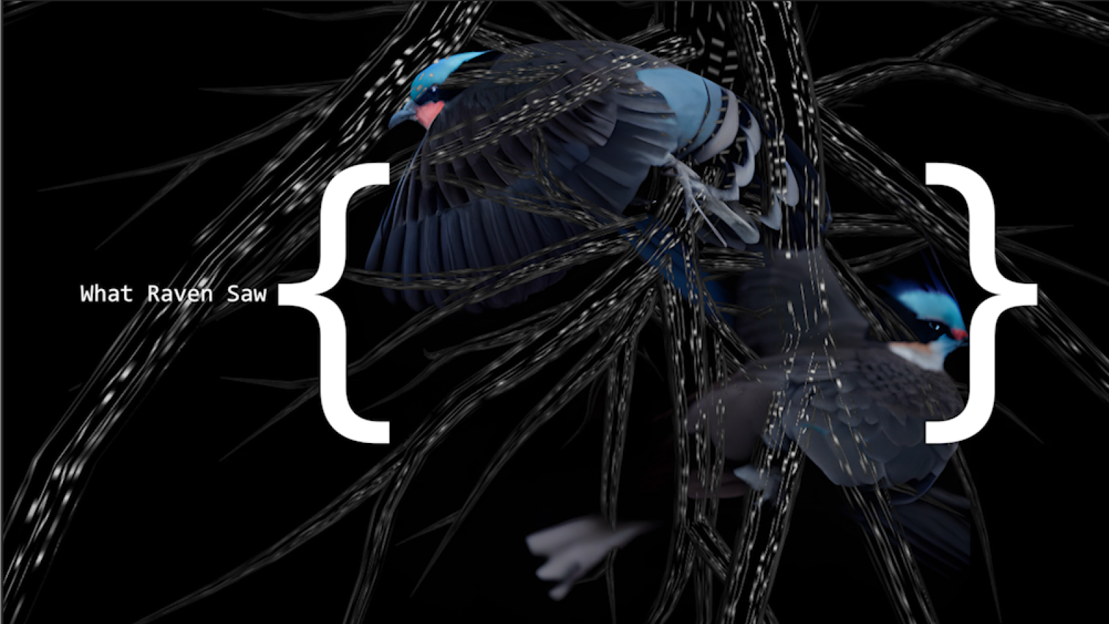 What Raven Saw @Visualising the Invisible