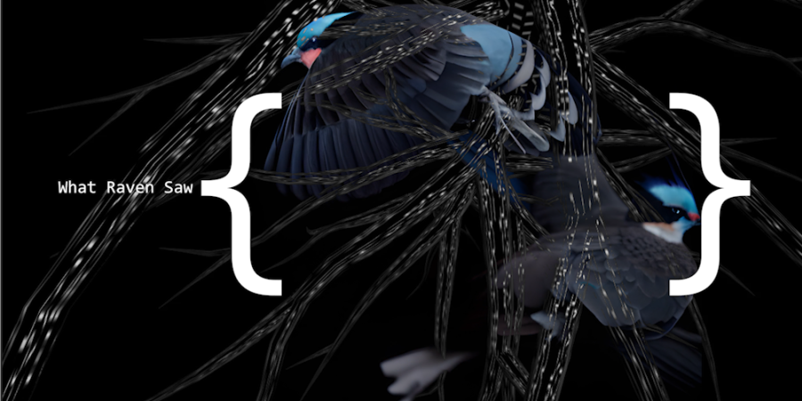 What Raven Saw @Visualising the Invisible