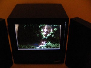 Notes in Preparation for the End of Time