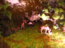 Notes in Preparation for the End of Time