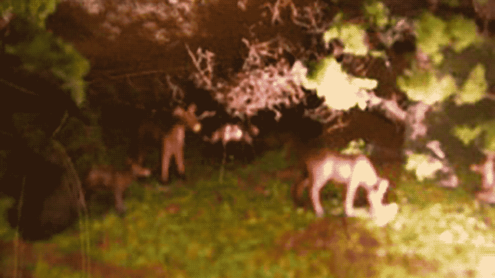 Notes in Preparation for the End of Time