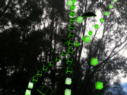 Virtual Native (2011)