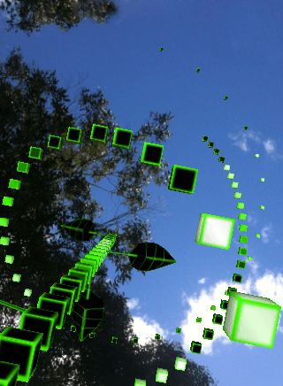 Virtual Native (2011)